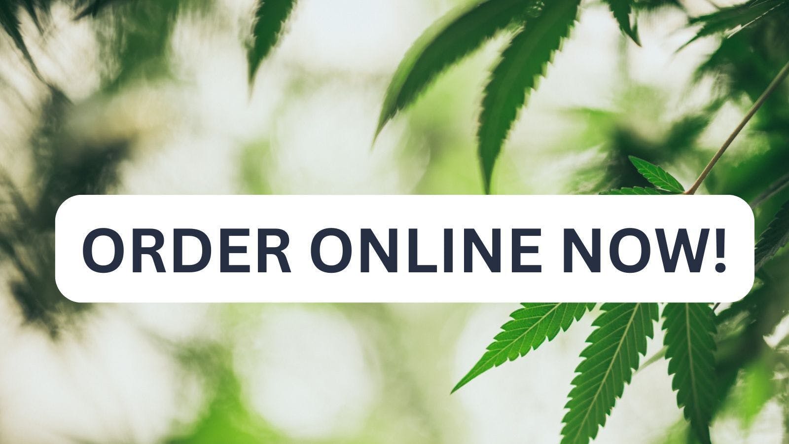 buy marijuana vape and concentrate oklahoma city oklahoma Vapes in Texas