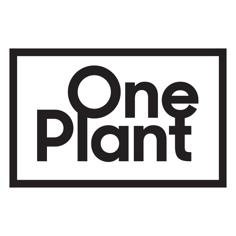 one-plant-wonderland-south-rolling-papers-and-supplies-near-me