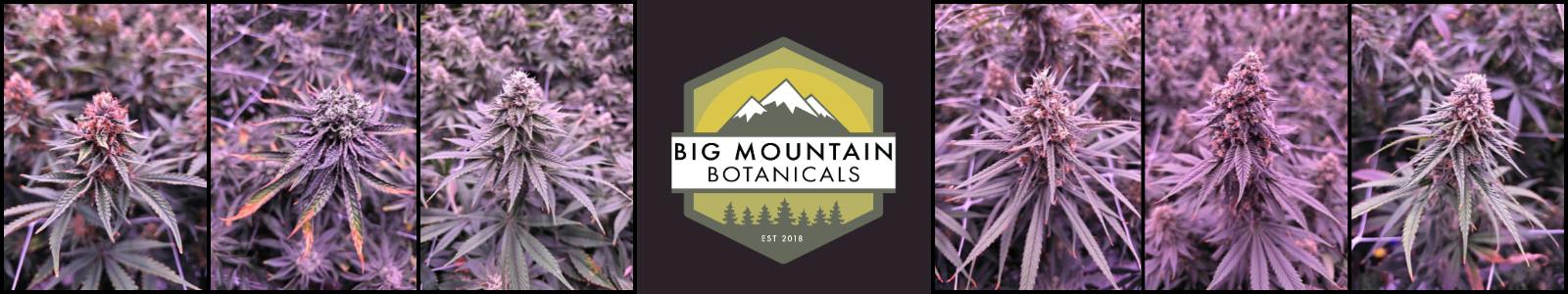 Big Mountain Botanicals - Airport — Dispensaries in Columbia Falls, MT