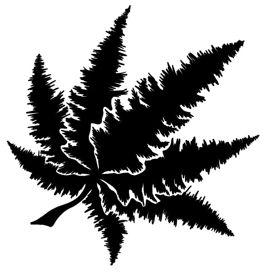 Tree Hill Cannabis Info, Menu & Deals Weed dispensary Lloydminster, AB