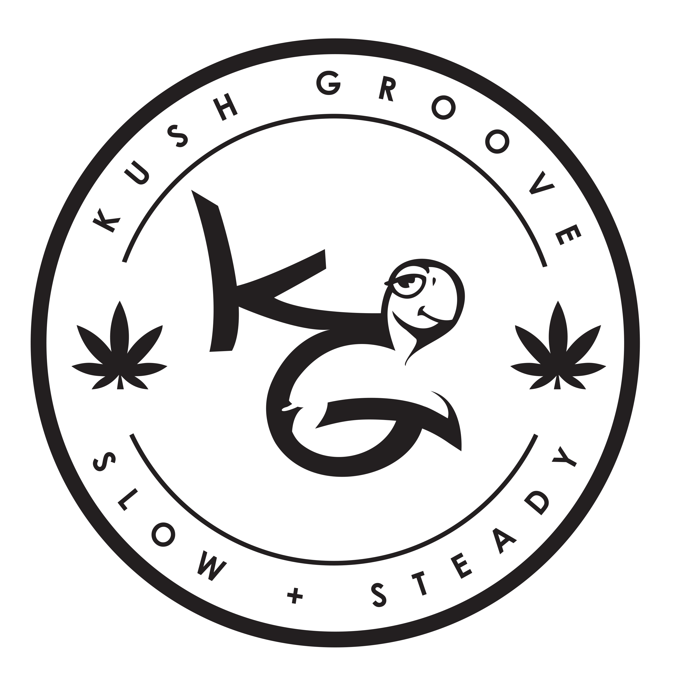 Kush Groove Dispensary | Cambridge THC Chocolate for Sale