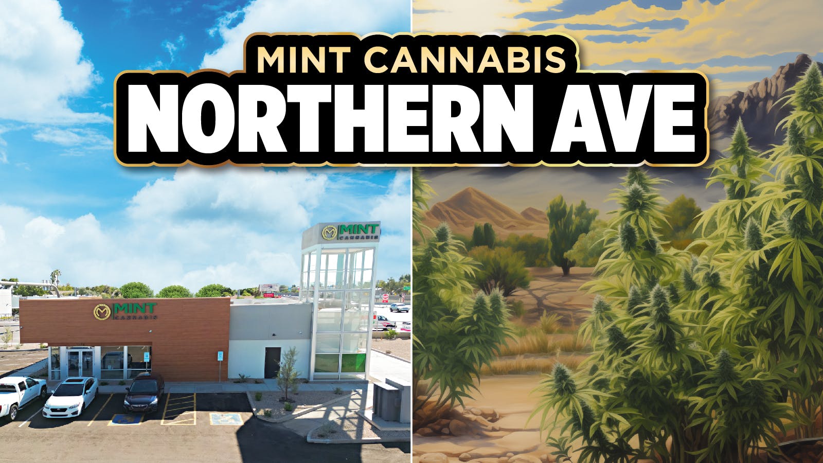 The Mint Cannabis - Northern Ave Menu, Reviews, Deals - Weed
