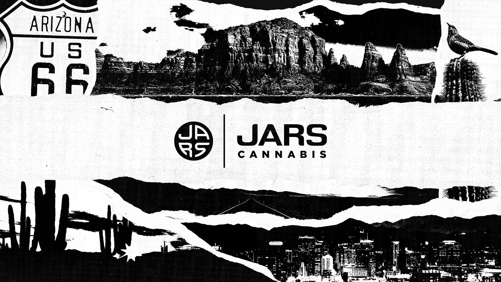 jars disposable vape Geek Bar Pulse X Wholesale main image 0
