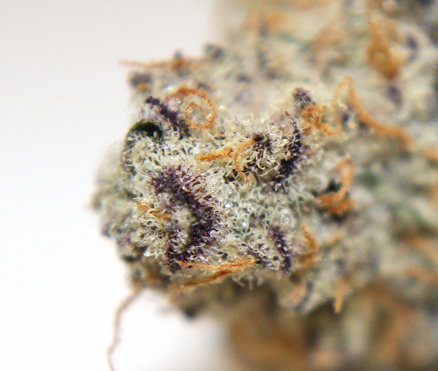 Three Rivers Dispensary Denver MED