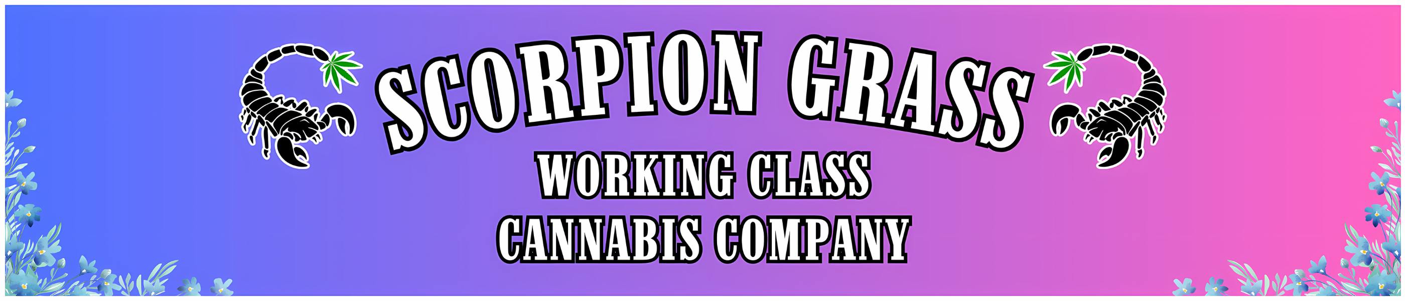 Scorpion Grass - South Anchorage — Dispensaries in Anchorage, AK