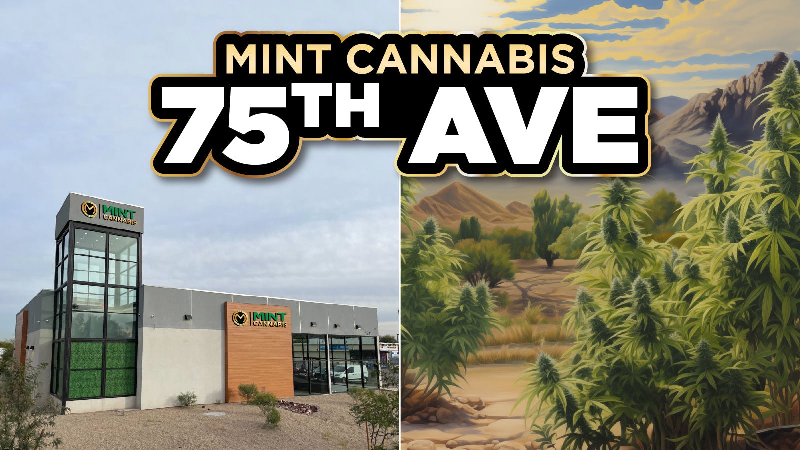 The Mint Cannabis - 75th Ave Menu, Reviews, Deals - Weed