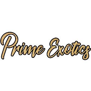 Prime Exotics Dispensary Menu, Reviews, Deals - Weed Dispensary in ...