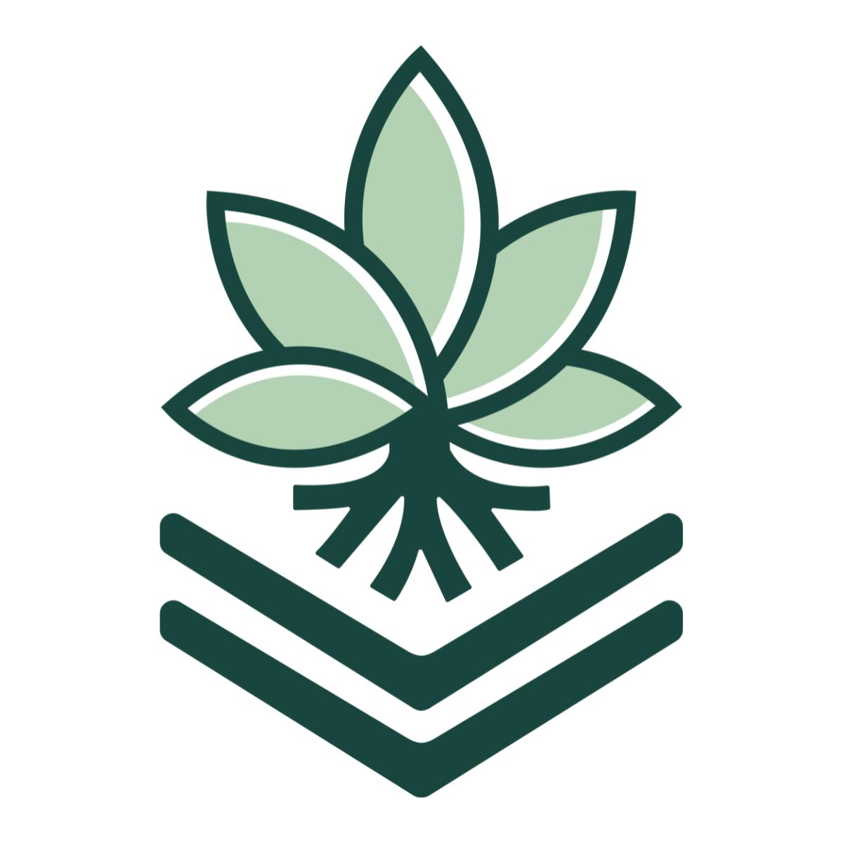 Exit 31 Exotic Info, Menu & Deals Weed dispensary Utica, New York