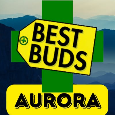 Best Buds - Aurora DIA