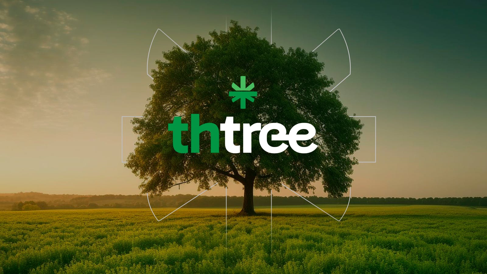 ThTree Pre Rolls & Joints | Order Online