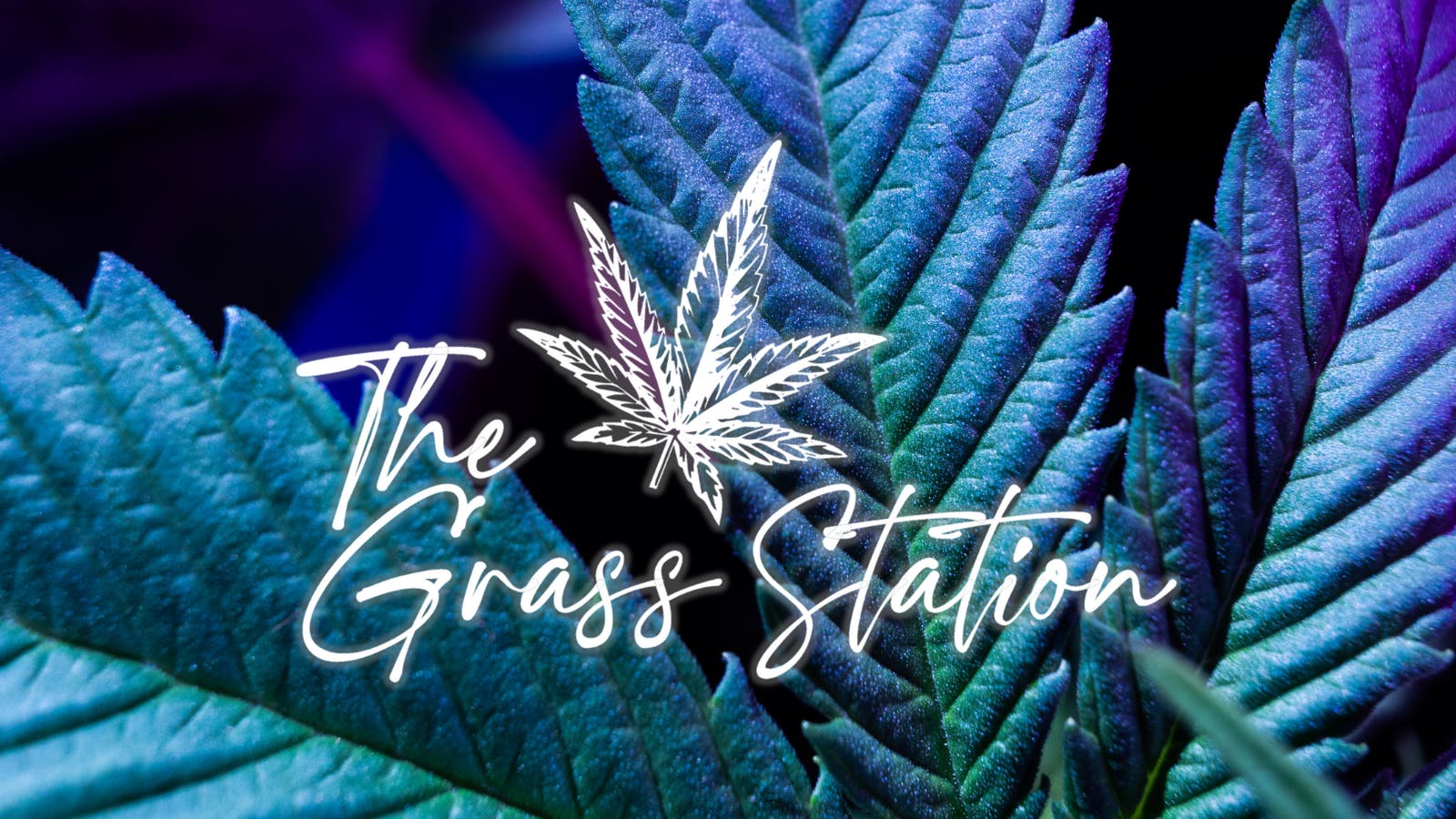 elfbar elfa kaufen The Grass Station Vape Pens