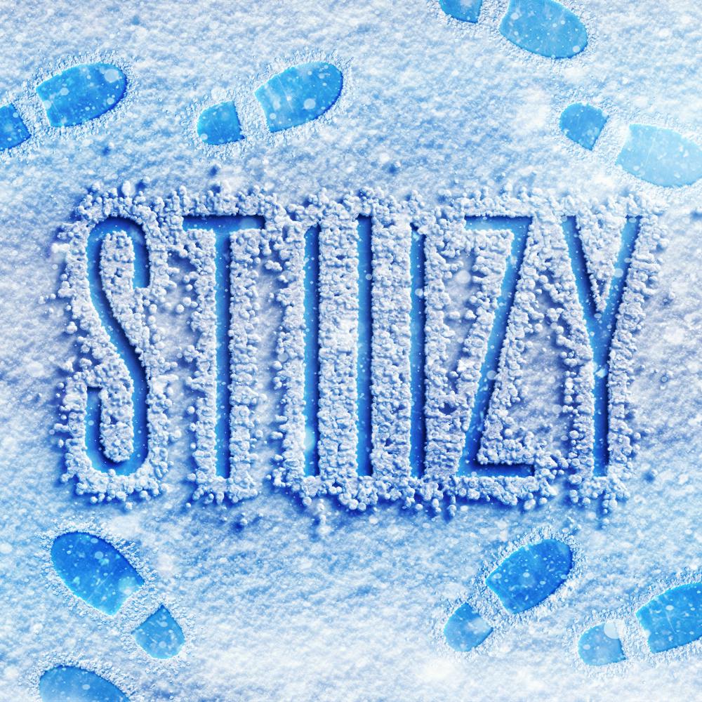 Stiiizy artesia weed accessories for sale