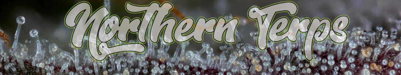 Northern Terps — Dispensaries in Lewiston, ME