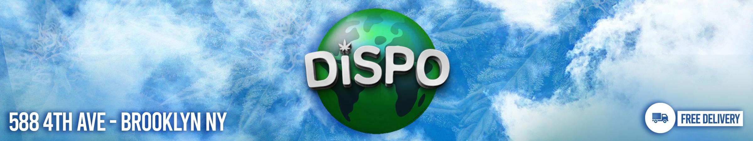 DISPO — Dispensaries in New York City, NY
