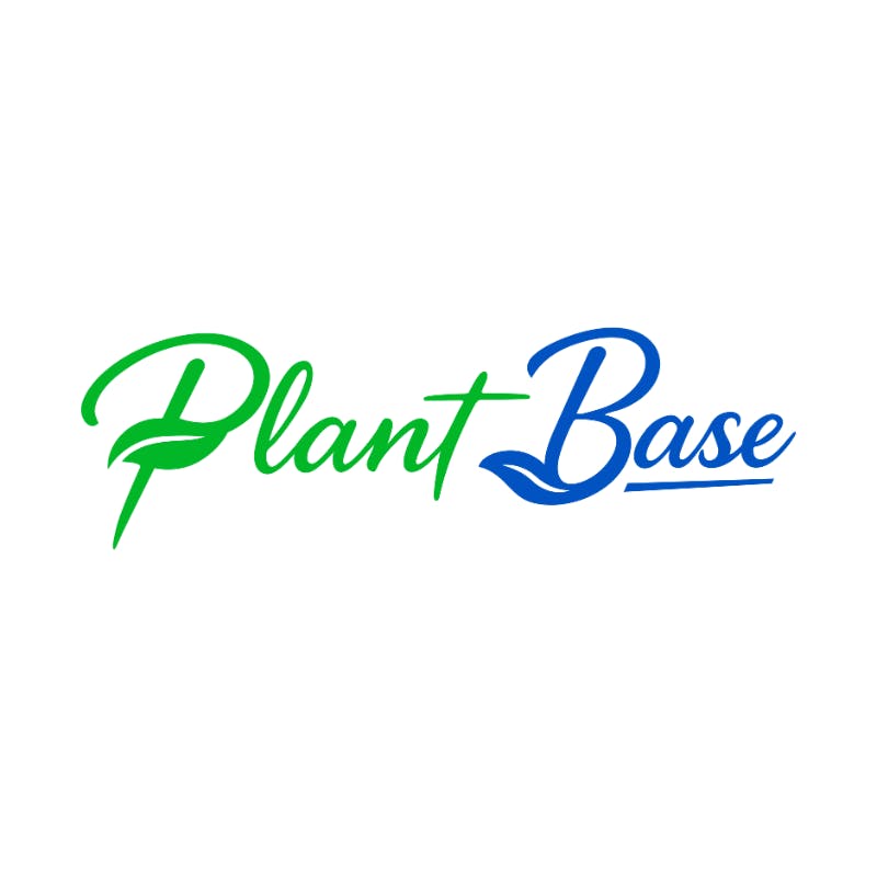 poplar planting Hybrid Poplar Trees for Sale - Large Trees Delivered