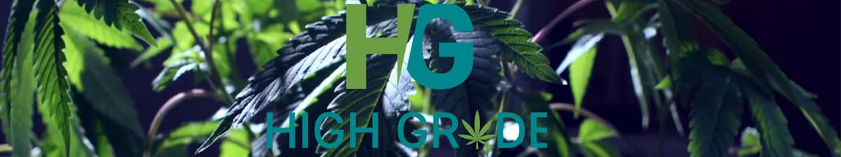 High Grade - Douglas — Dispensaries in Douglas, GA