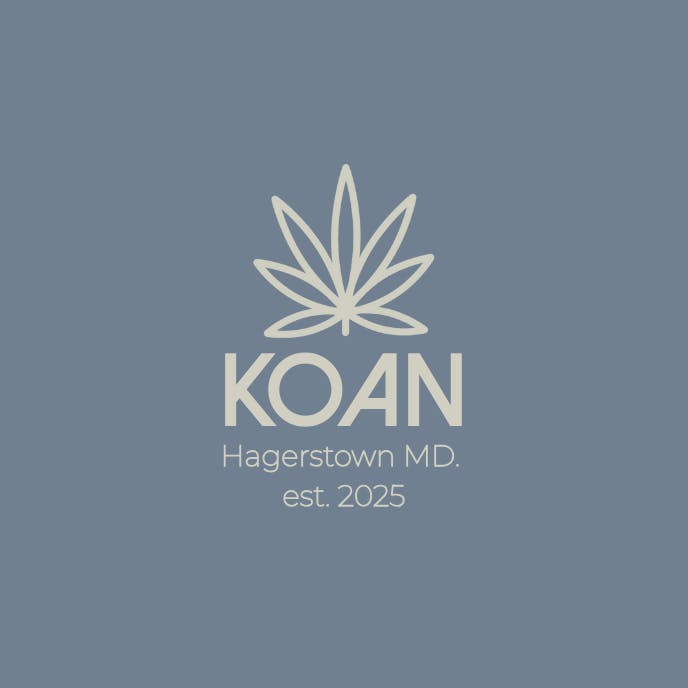 カオンページ Kaon(カオン)】 シャツ｜PARIGOT ONLINE（パリゴオンライン）