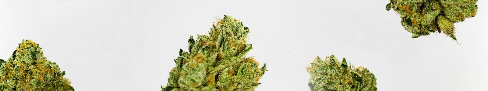Feel State — Dispensaries in Urbana, OH