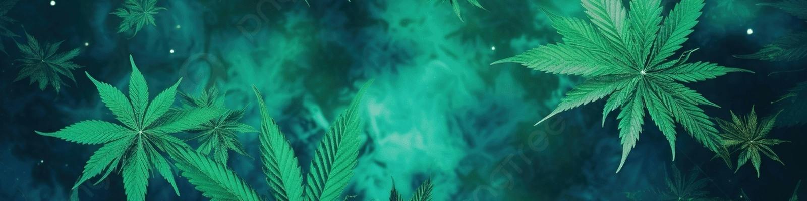 Enchanted Mountains Canna Company — Dispensaries in Ellicottville, NY