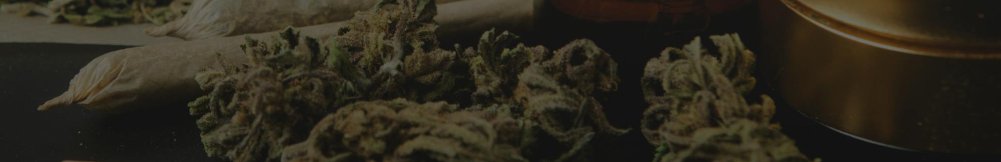 Bean Cannabis Shop | Kamloops | — Dispensaries in Kamloops, BC