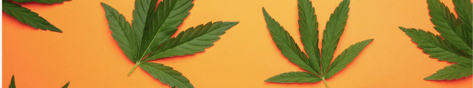 Peace By The Gram — Dispensaries in Matheson, ON