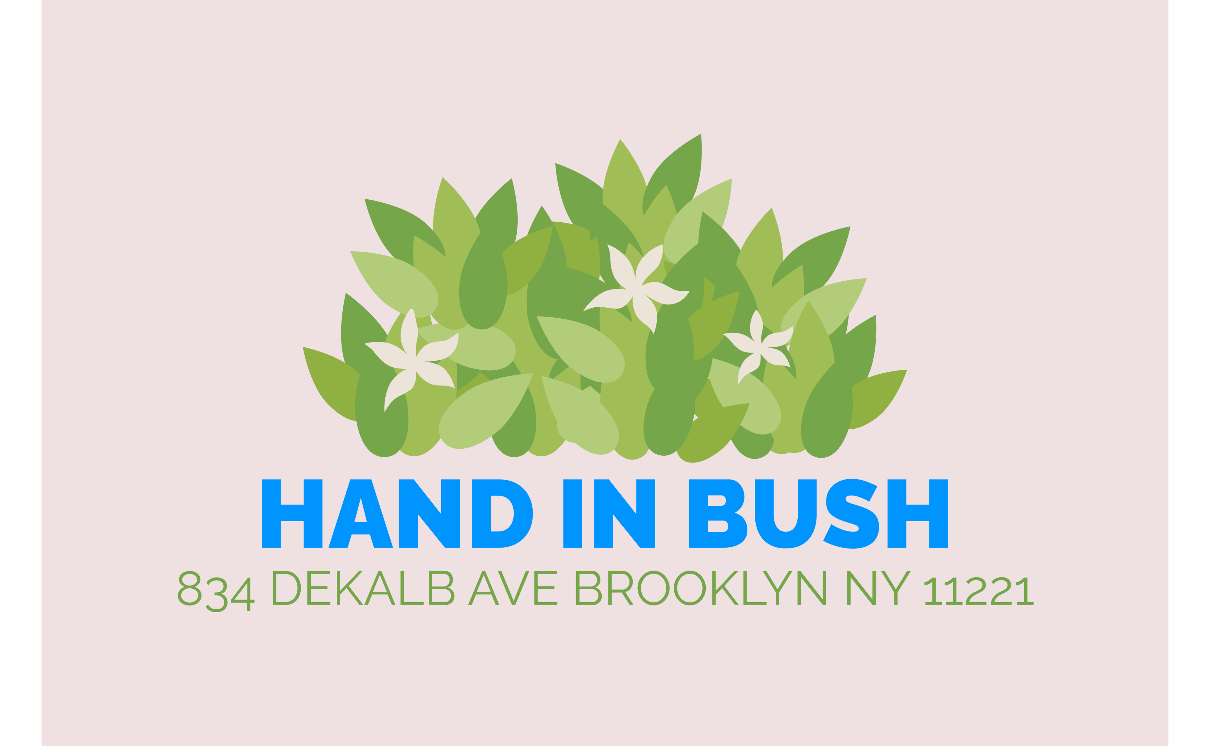 Hand In Bush Menu, Reviews, Deals - Weed Dispensary in New York