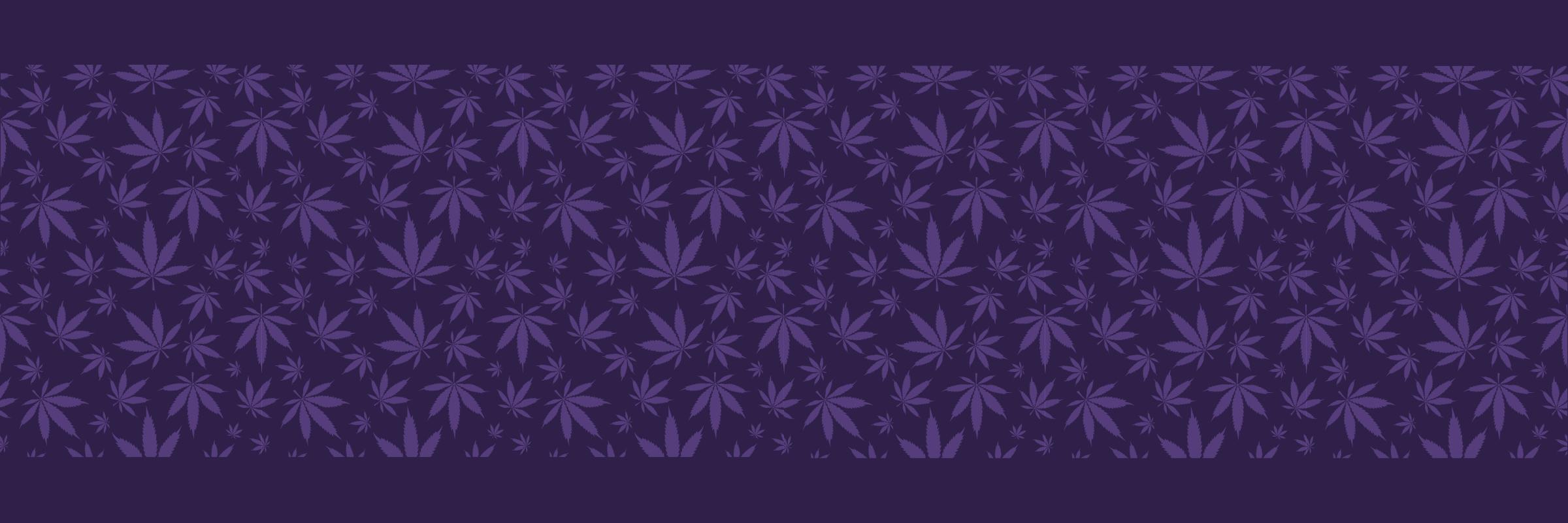 Planet Purple — Dispensaries in Paw Paw, MI