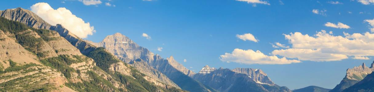 Forest Flower — Dispensaries in Waterton Park, AB