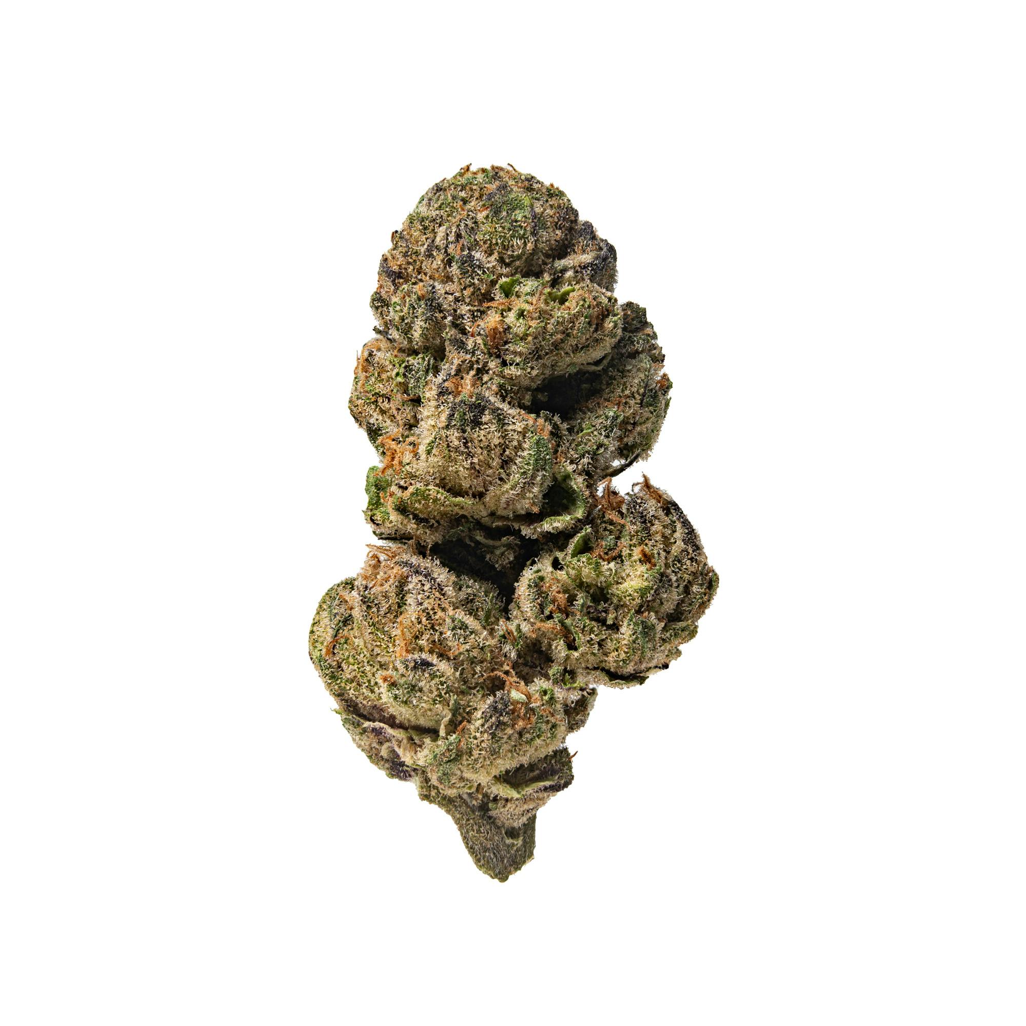 P.Blueboy大株 Pacific Stone | Blue Z | Big Buds | 7g - Pacific Stone
