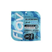 Flav | Blueberry | Belt 
