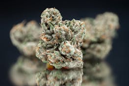 Mega Wellness OG® | Flower (3.5g)