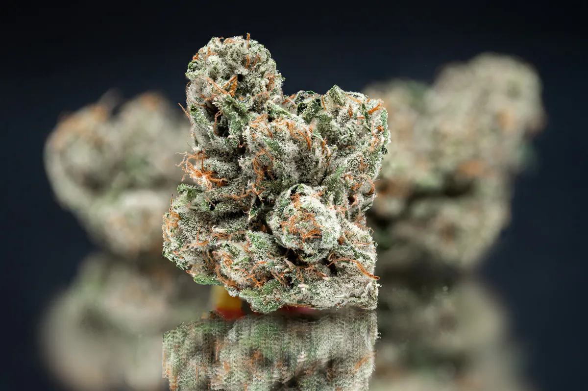 Nameless Genetics - NAMELESS | MEGA WELLNESS OG | FLOWER | 3.5G Main Image