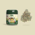 CBX: Casino Kush 3.5