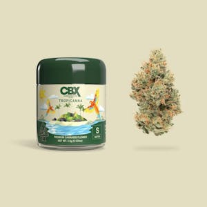 CANNABIOTIX - Cannabiotix Indoor Flower 3.5g - Tropicanna 29%