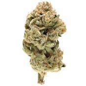 NAMELESS | INCOGNITO OG SMALLS | FLOWER | 7G