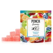 Punch Edibles I Tropical Punch 100mg (Hyrbid) - Edible Gummies