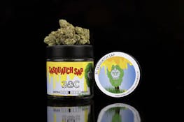 3C | Sasquatch Sap - 8th