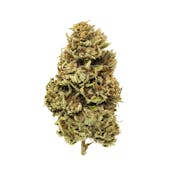 DNA Chemdawg