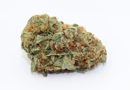 HSP - STARDAWG GUAVA