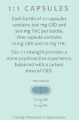 Balanced 1:1 THC/CBD - Tincture - 600mg - 15ml