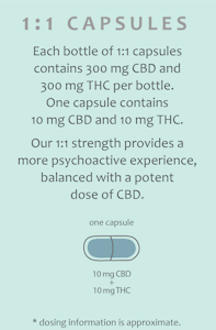 PROOF - Balanced 1:1 THC/CBD - Tincture - 600mg - 15ml