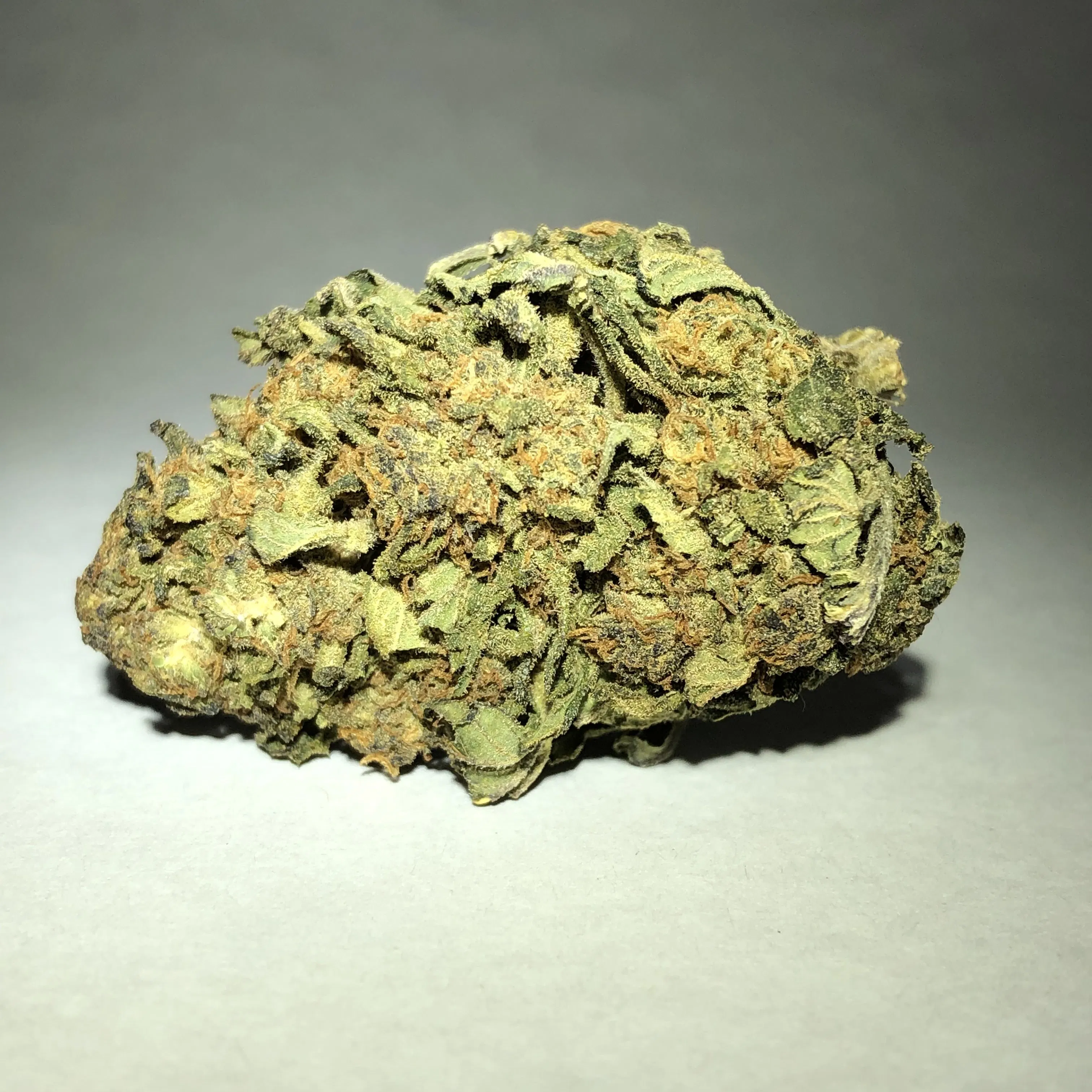 77 North - Gorilla Glue 1oz Main Image