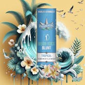 PRESIDENTIAL | TROPICAL BLUNT - INFUSED | PREROLL | 1.5G