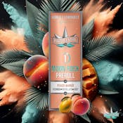 Presidential - Peach Mango I - Moonrock Infused Preroll - 1.0g