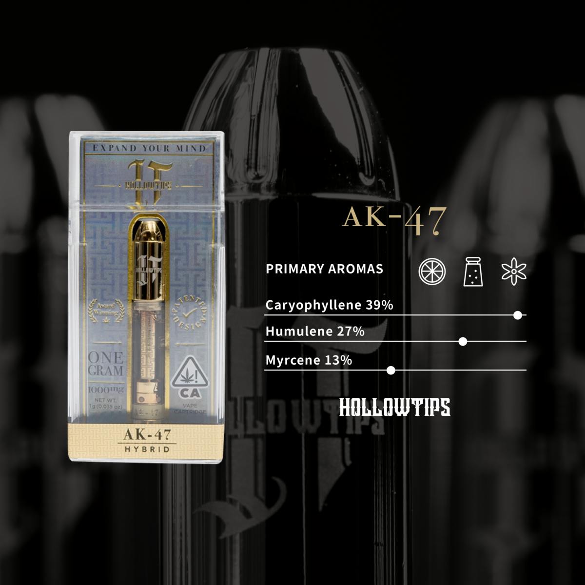 Hollowtips AK-47 Cartridge 1000mg - Hollowtips