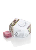 [REC] WYLD | Huckleberry  | 100mg/10ct