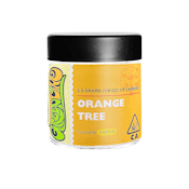 Greenline - Orange Tree - 3.5G Indoor Flower