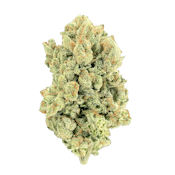 Orange Tree 3.5G FLW