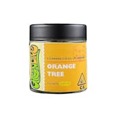 Orange Tree