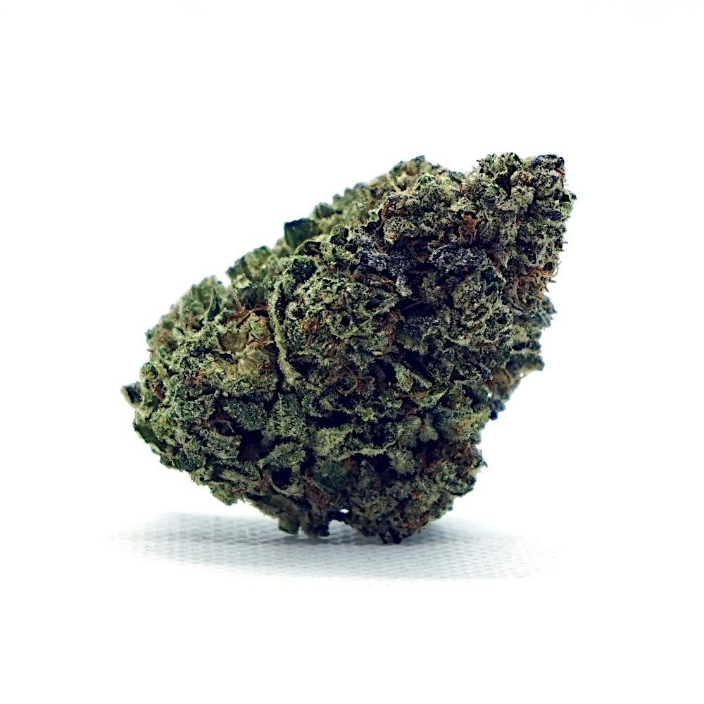 【世界100台】WEED Blues D 2 MA104B BD-2 Forty One | Blue Chip | Cannabis Strain - Purple Lotus